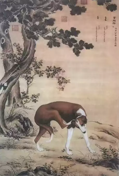 古柏金猃 笔底风华