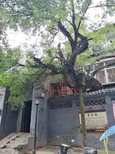 董宣（强项令）与董宣槐（老城东大街）